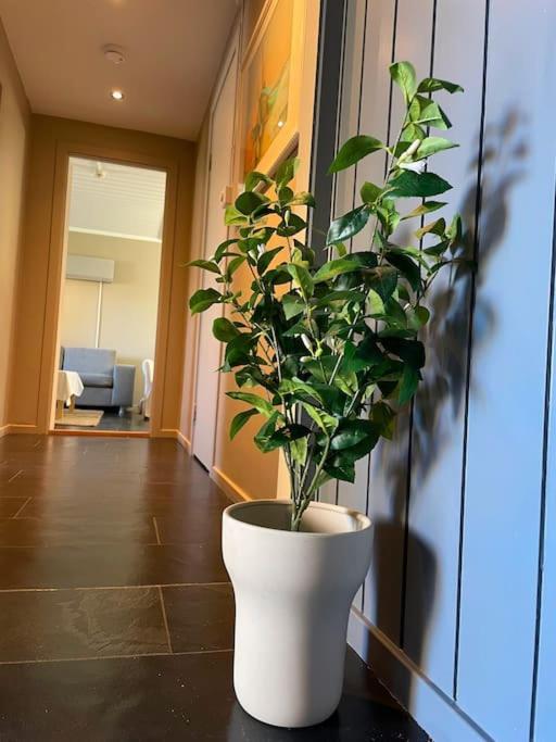 Cosy And Well-Equipped Apartment With Free Parking Trondheim Exterior foto